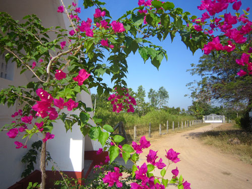Ashram India