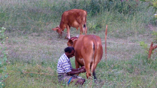 Ashram India